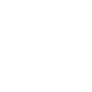 Creatief bureau Oostende - Mioo Design - Klant Logo Aniwayz - West-Vlaanderen